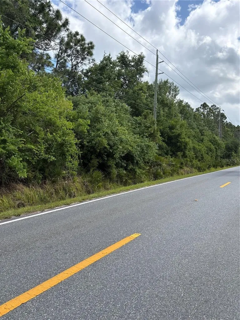E Osceola Road Geneva FL 32732