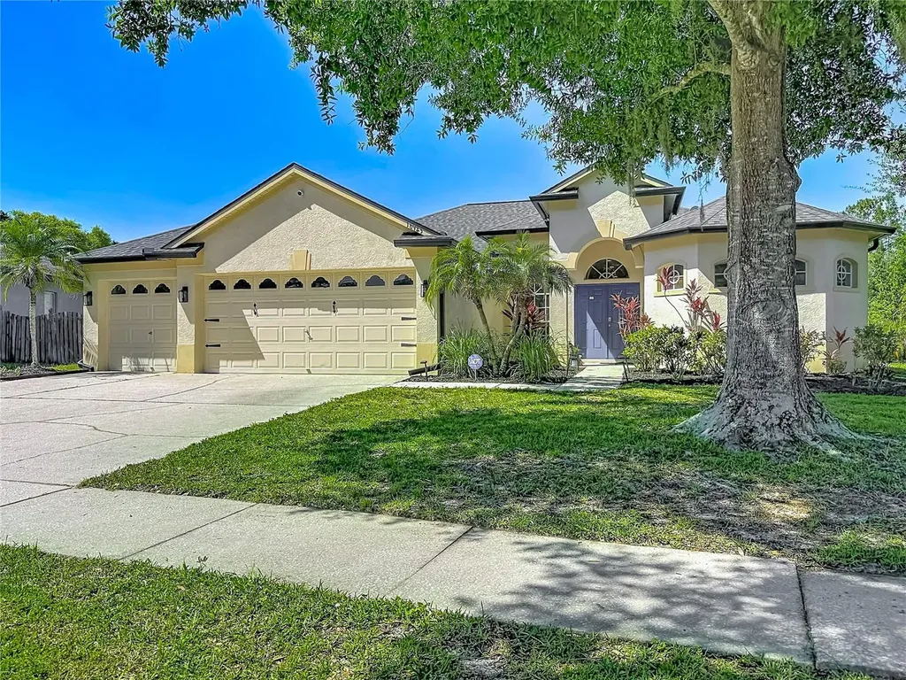 16923 Melissa Ann Drive Lutz FL 33558