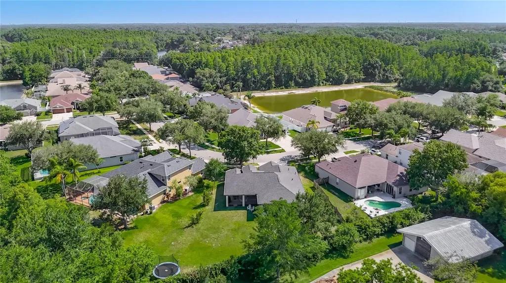 16923 Melissa Ann Drive Lutz FL 33558
