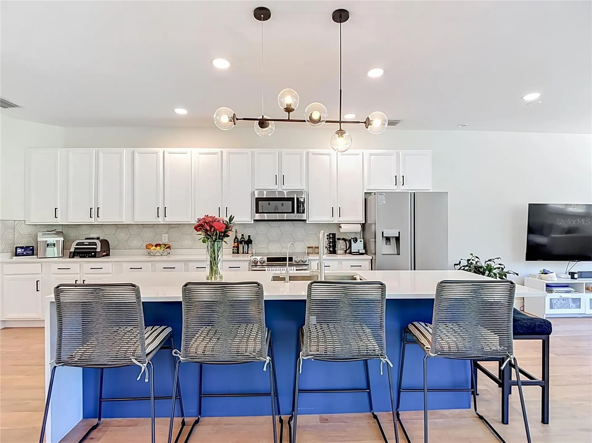 16923 Melissa Ann Drive Lutz FL 33558