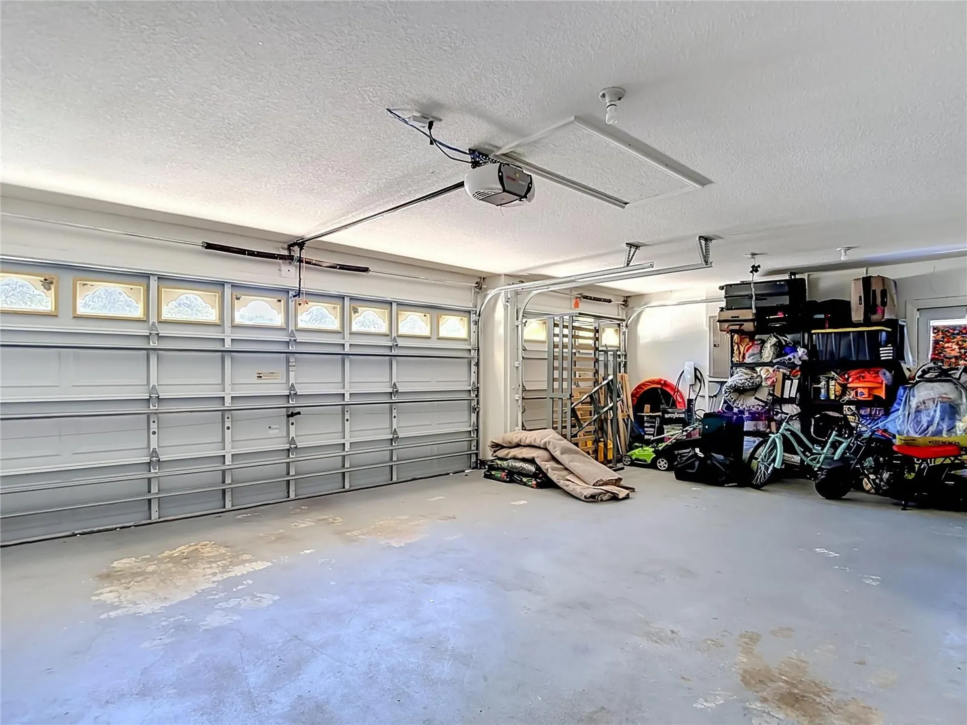 16923 Melissa Ann Drive Lutz FL 33558
