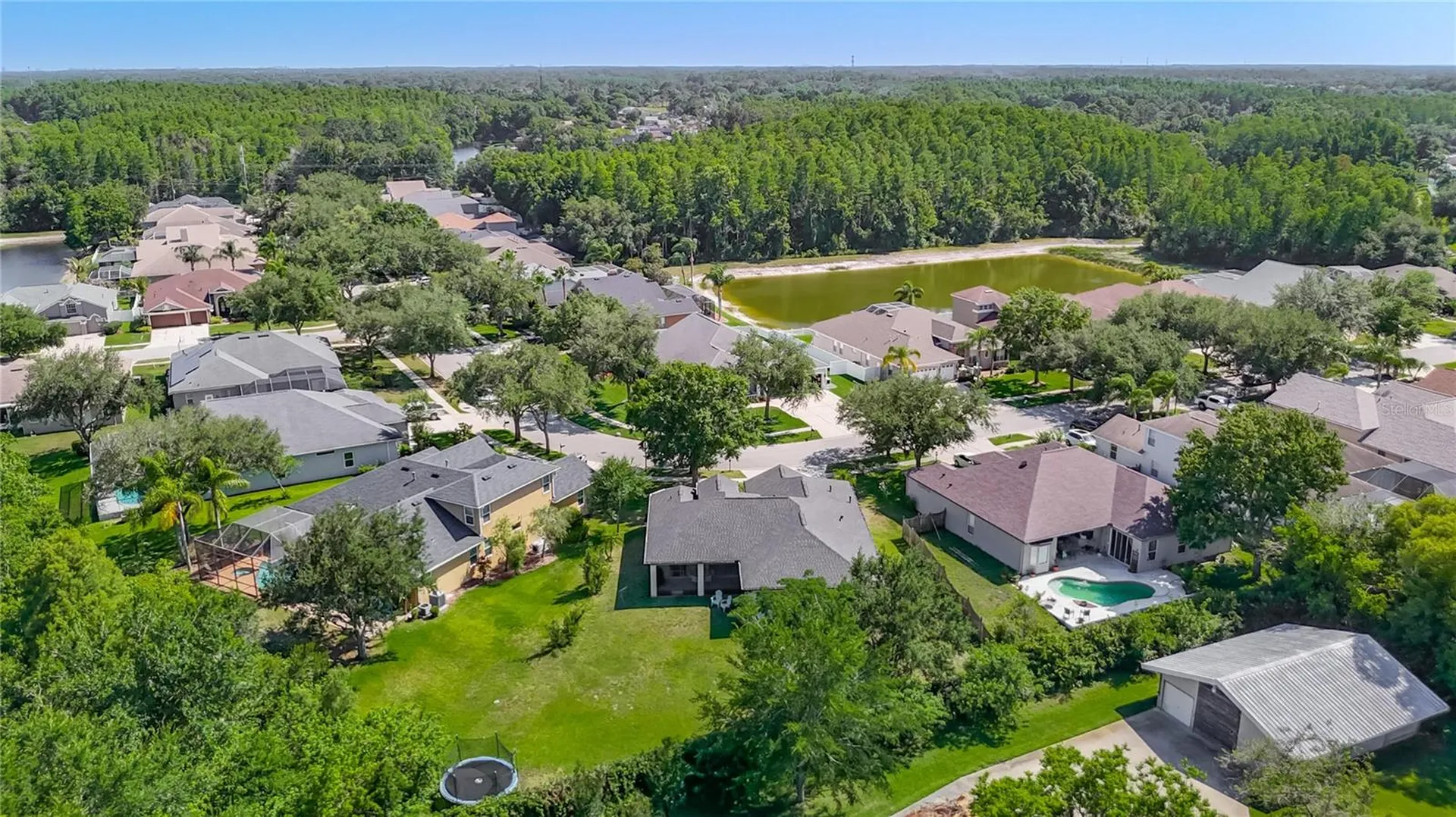 16923 Melissa Ann Drive Lutz FL 33558