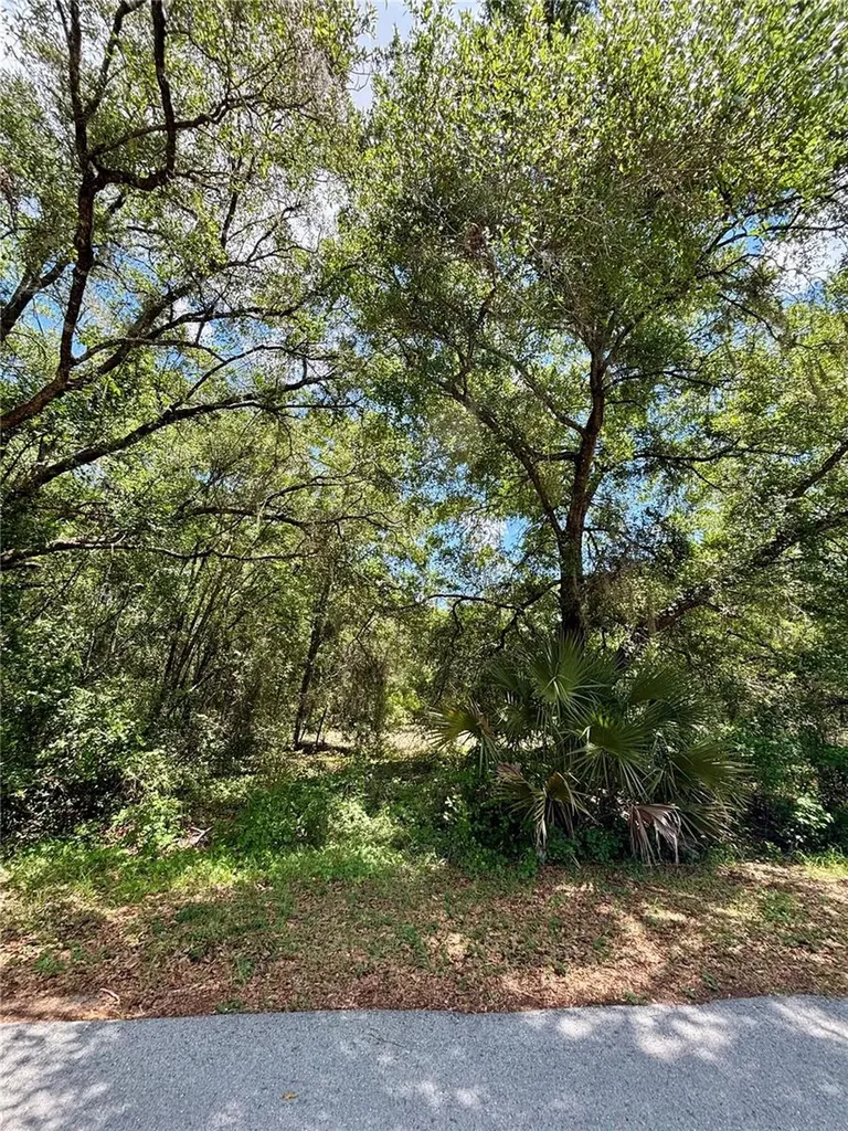 Lot 15 SW Shorewood Drive Dunnellon FL 34431