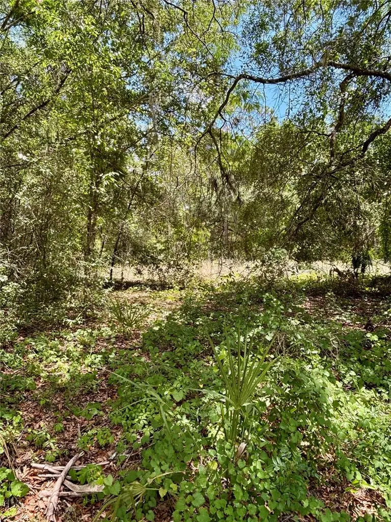 Lot 15 SW Shorewood Drive Dunnellon FL 34431