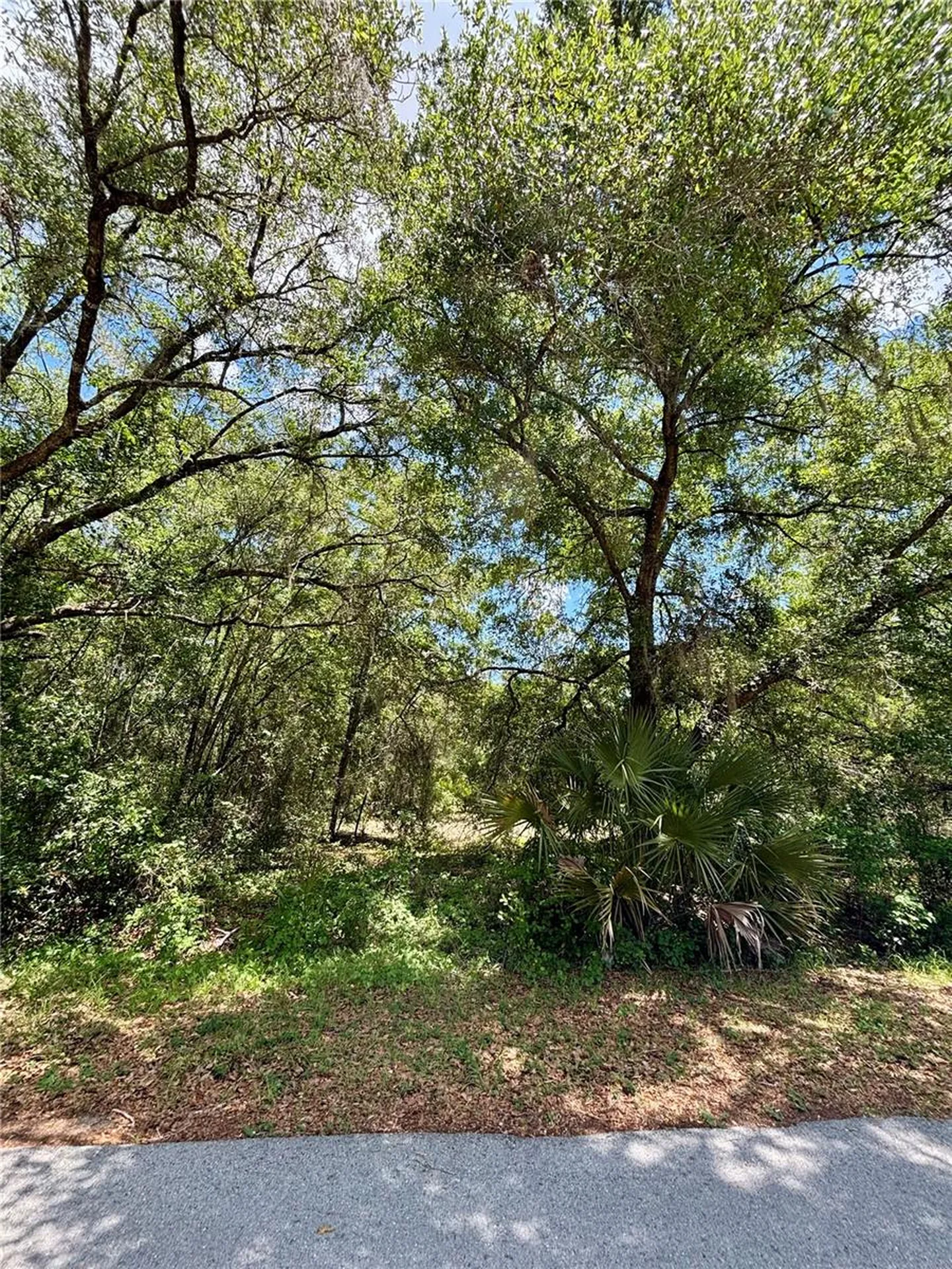 Lot 15 SW Shorewood Drive Dunnellon FL 34431
