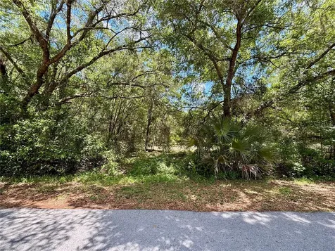 Lot 15 SW Shorewood Drive Dunnellon FL 34431