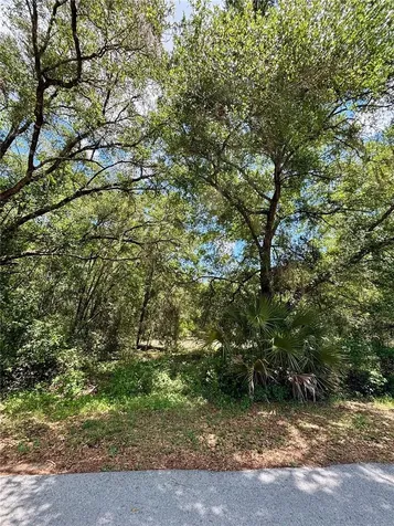 Lot 15 SW Shorewood Drive Dunnellon FL 34431
