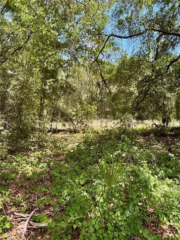 Lot 15 SW Shorewood Drive Dunnellon FL 34431