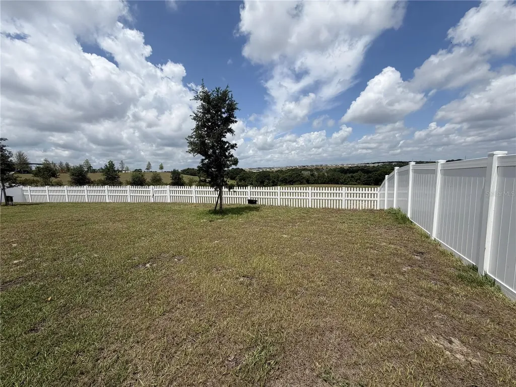 1033 Calico Pointe Circle Groveland FL 34736