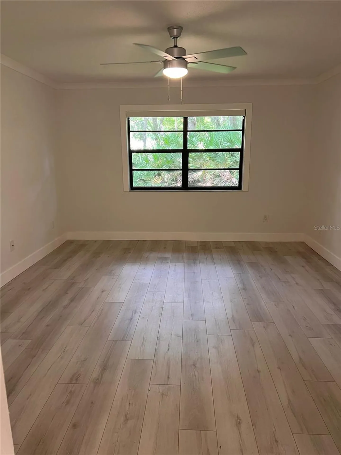 4044 Corkwood Court Palm Harbor FL 34684