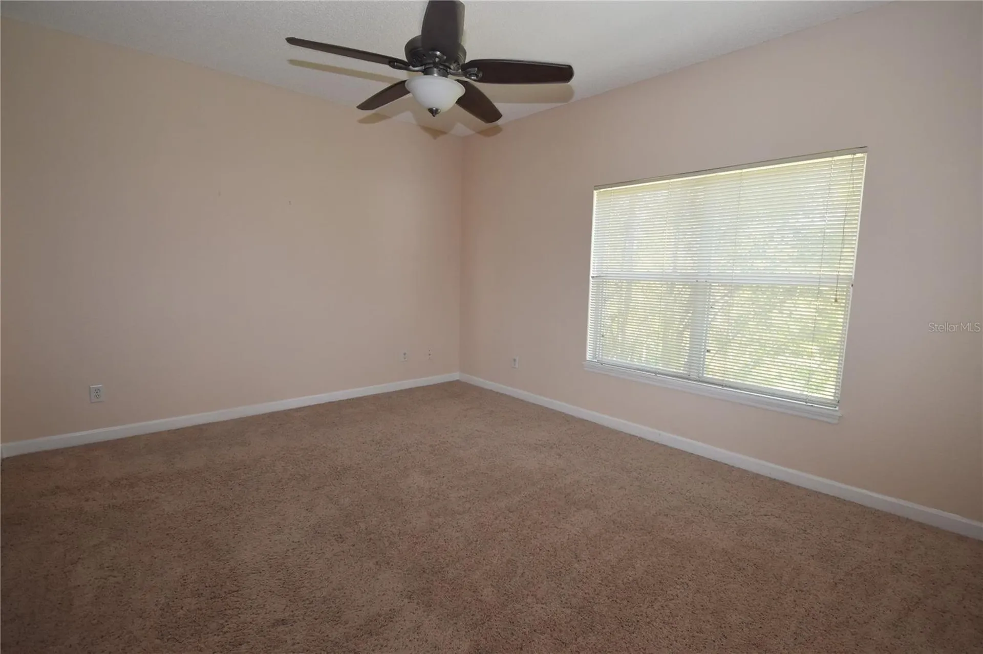 702 Coral Reef Drive Tampa FL 33602