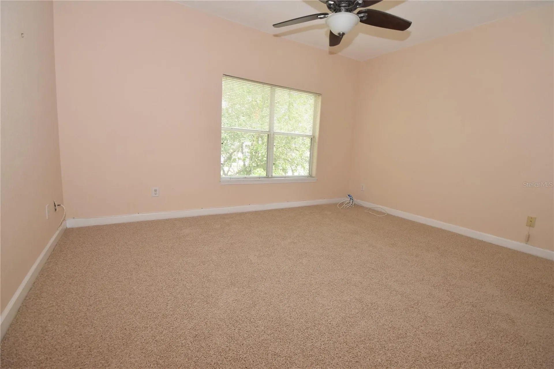 702 Coral Reef Drive Tampa FL 33602