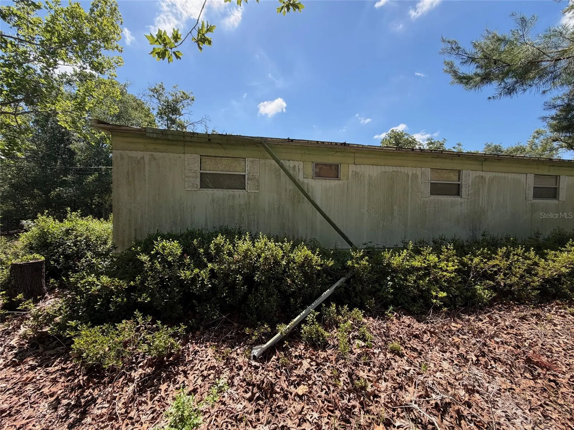 18054 Manteno Drive Spring Hill FL 34610