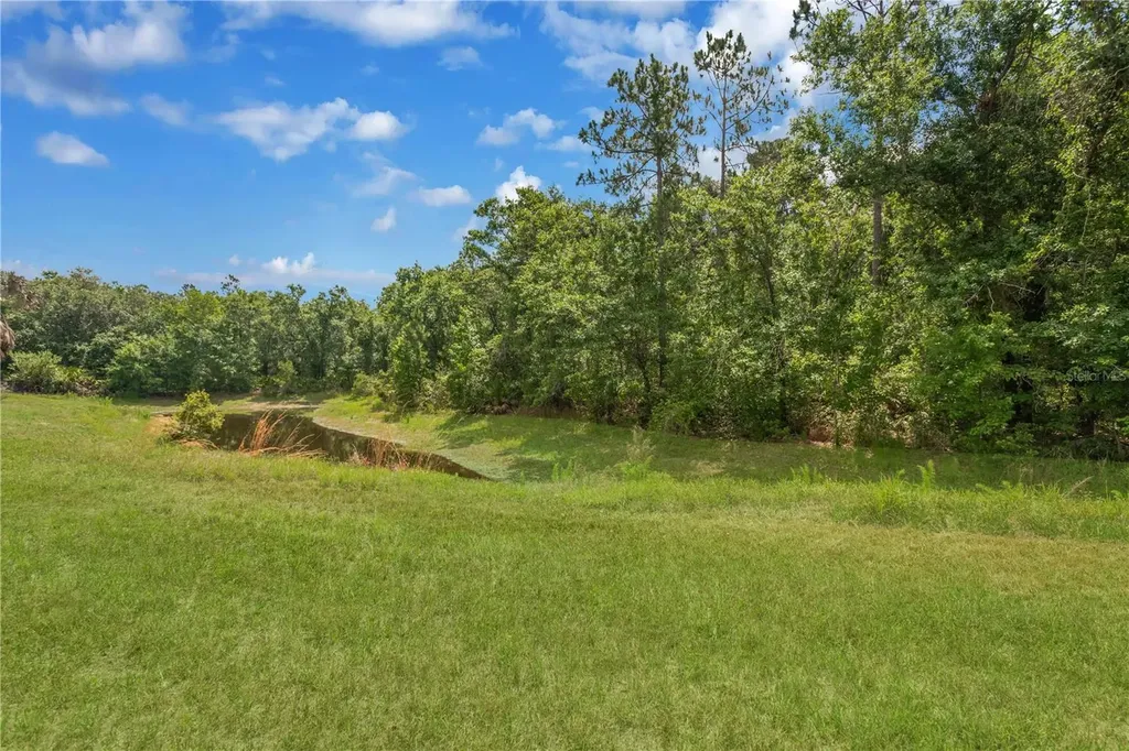 6012 Kiteridge Drive Lithia FL 33547