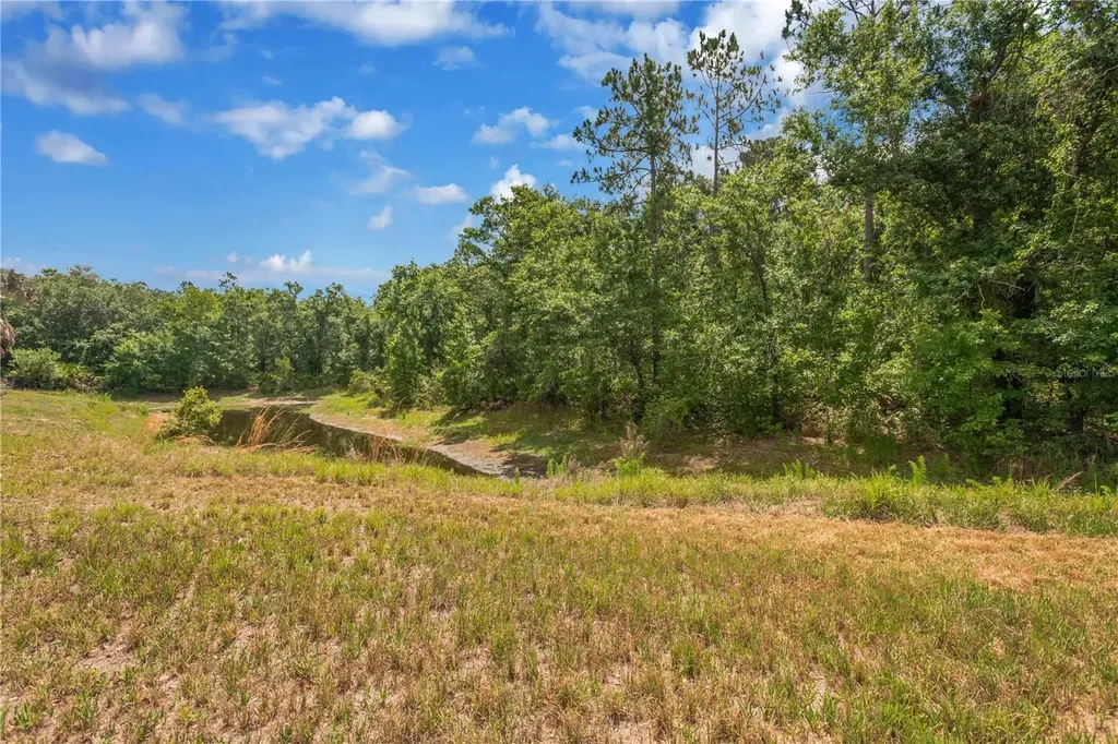 6012 Kiteridge Drive Lithia FL 33547