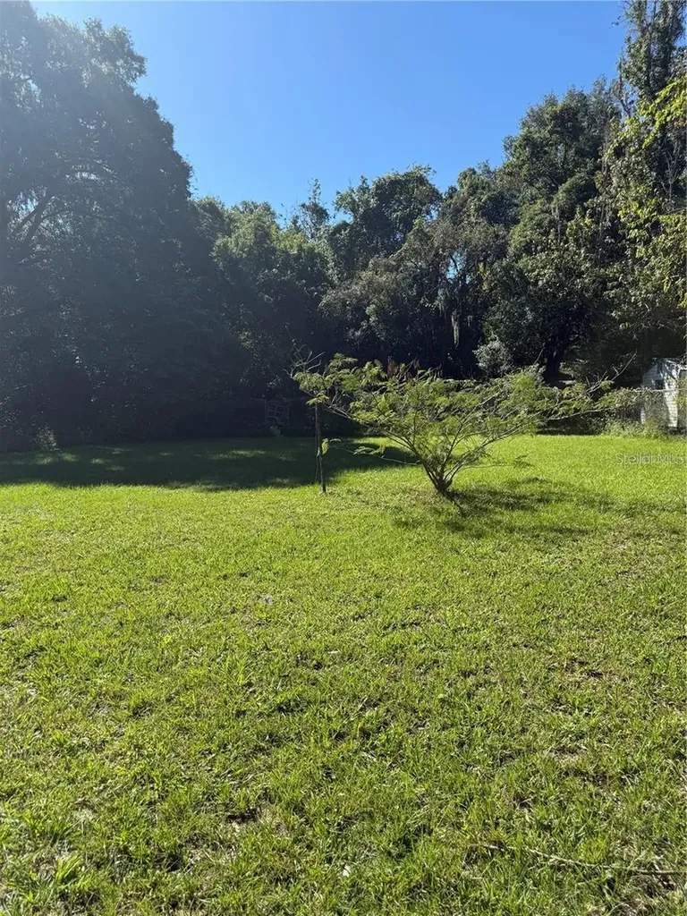 5976 SE 115th Street Belleview FL 34420