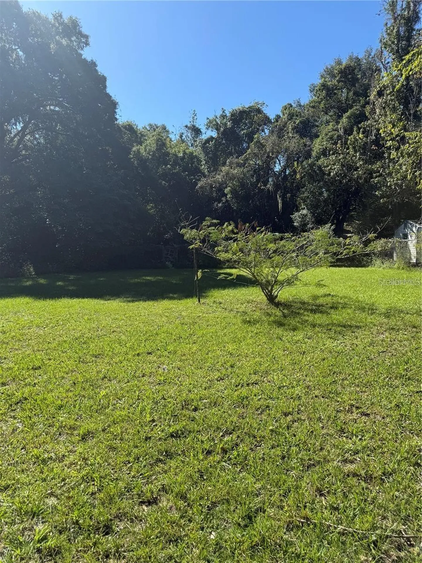 5976 SE 115th Street Belleview FL 34420
