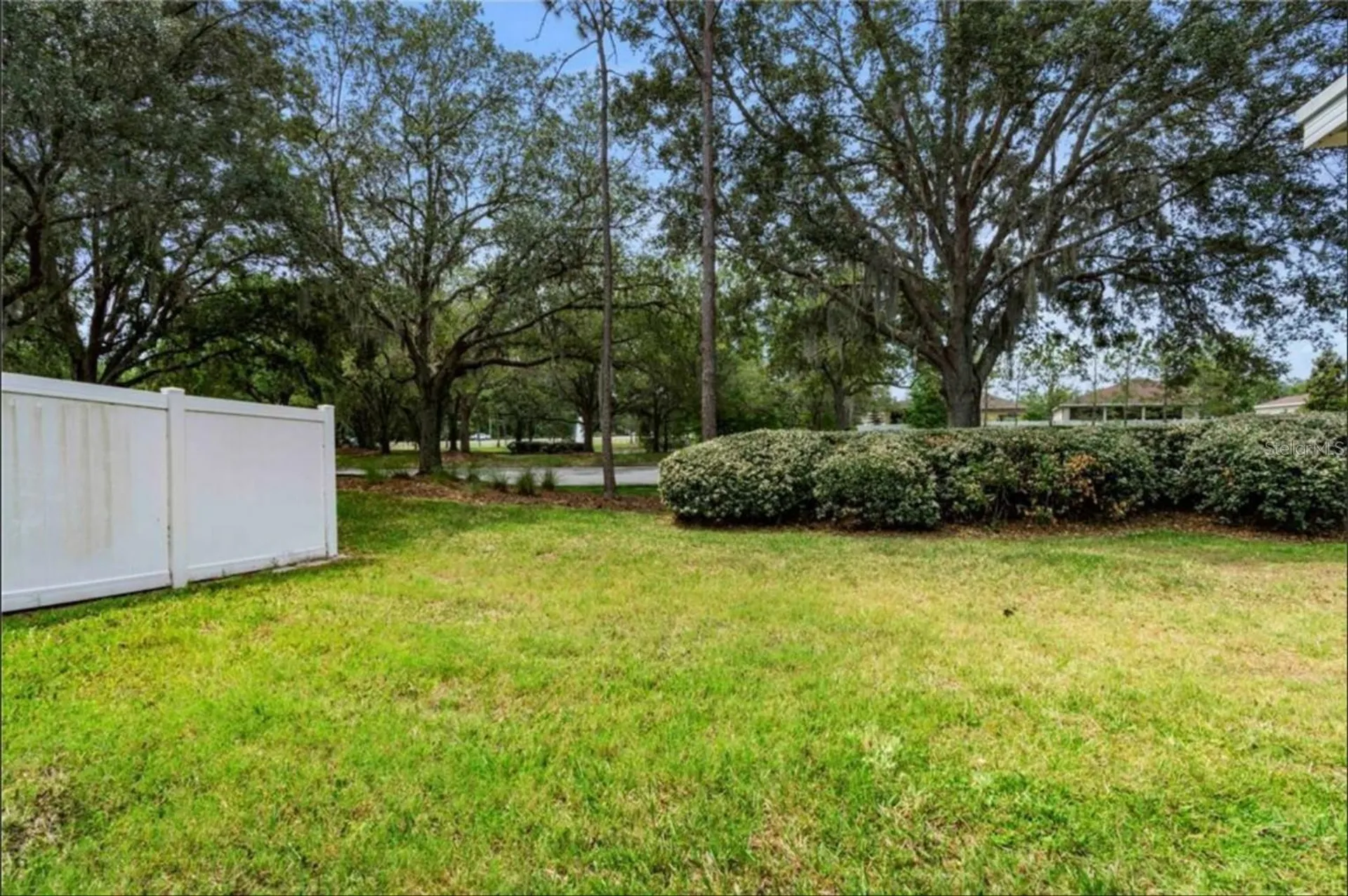 3310 Broken Bow Drive Land O Lakes FL 34639