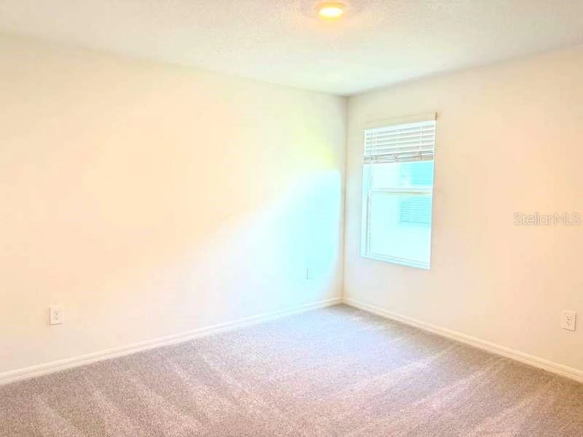 11413 Brae Way Dade City FL 33525