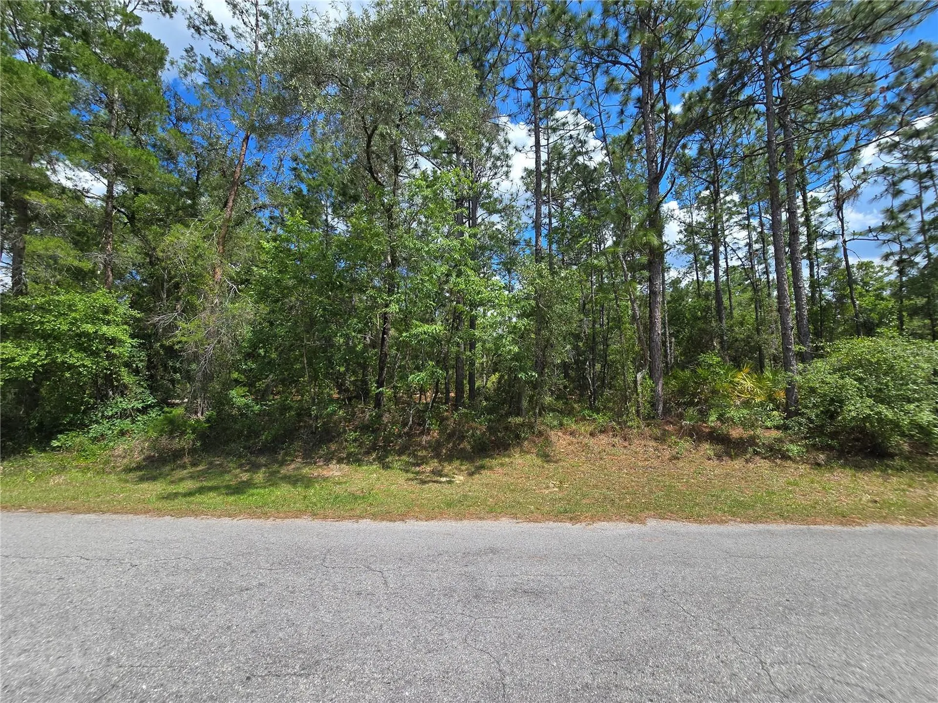 31 Saintpaulia Street Homosassa FL 34446