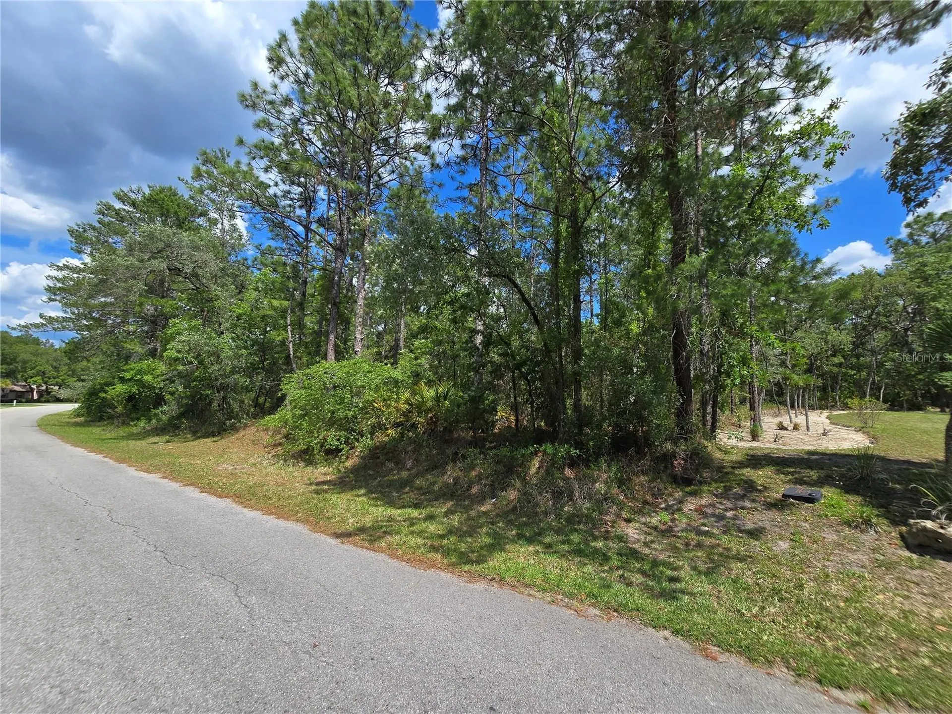 31 Saintpaulia Street Homosassa FL 34446