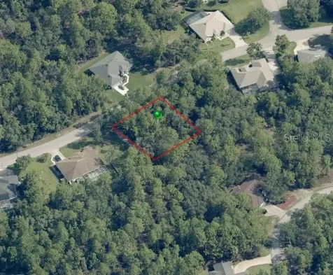 31 Saintpaulia Street Homosassa FL 34446