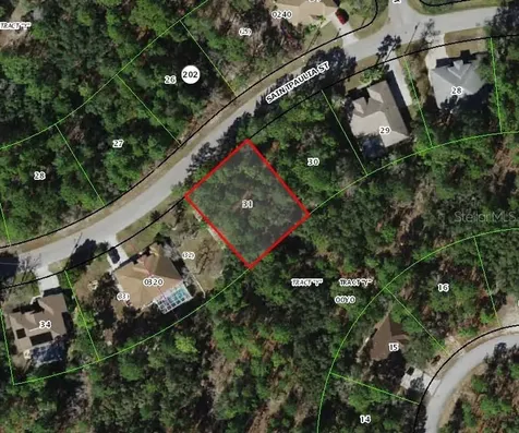 31 Saintpaulia Street Homosassa FL 34446
