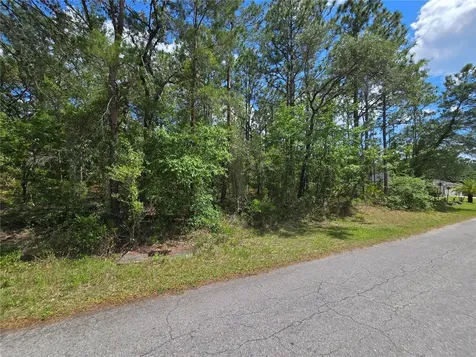31 Saintpaulia Street Homosassa FL 34446