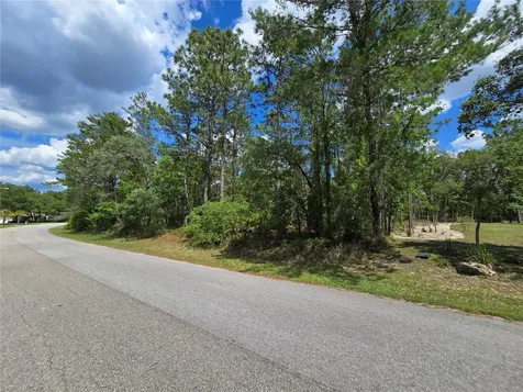 31 Saintpaulia Street Homosassa FL 34446