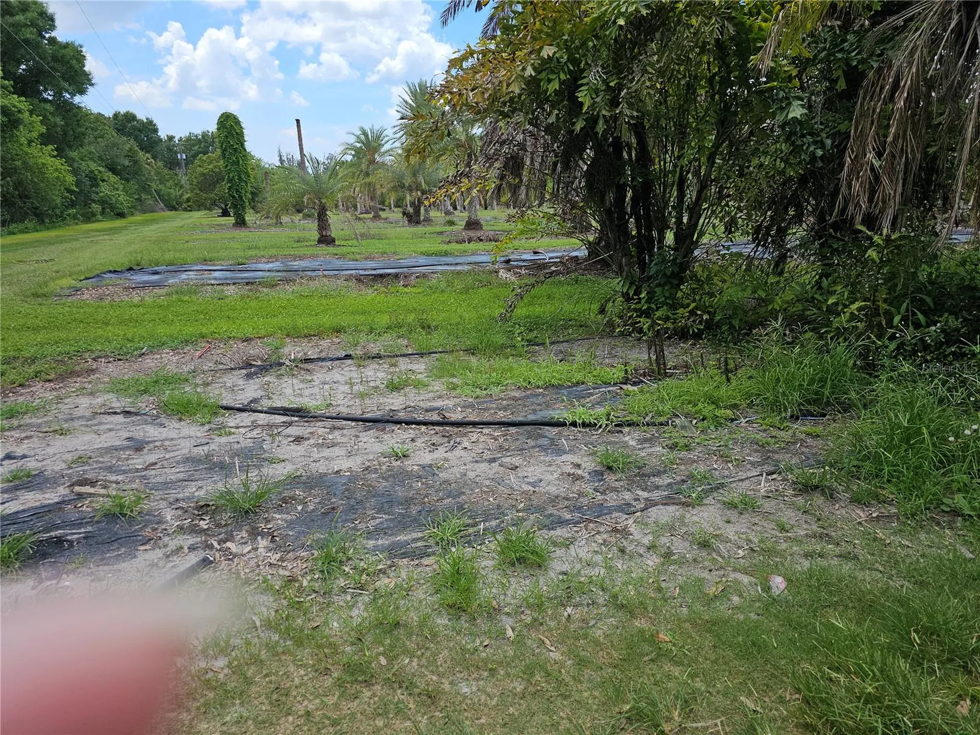 1405 6th Street SE Ruskin FL 33570