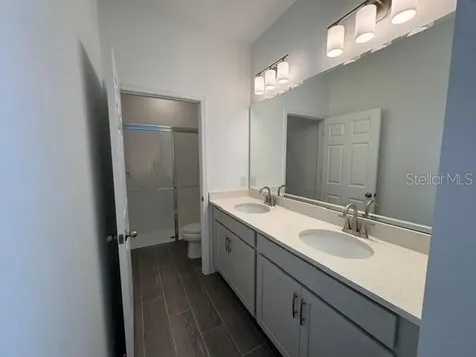 423 Oak Flat Alley Groveland FL 34736
