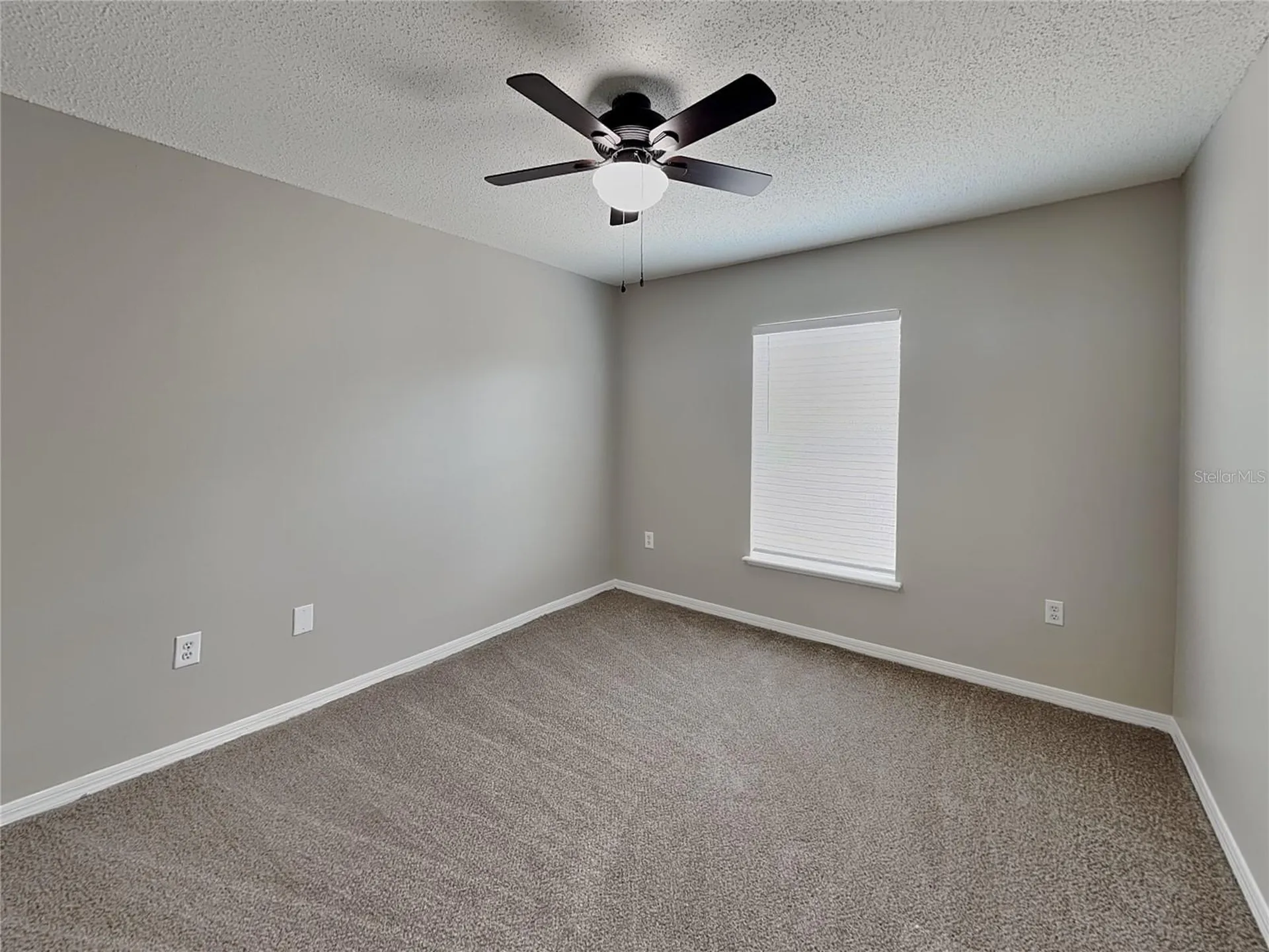Spring Hill FL 34609