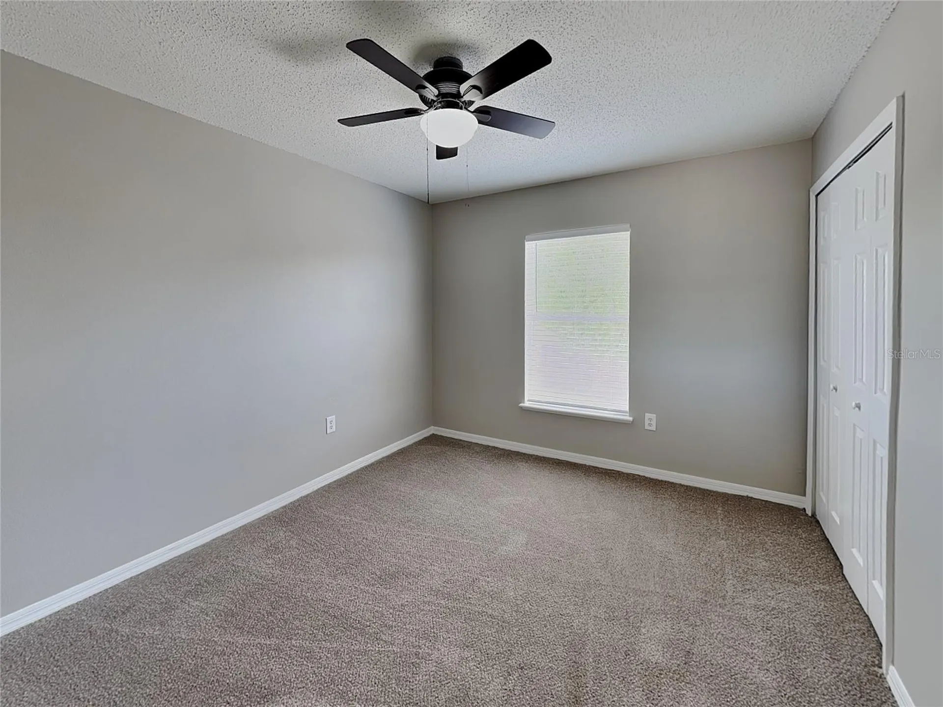 Spring Hill FL 34609