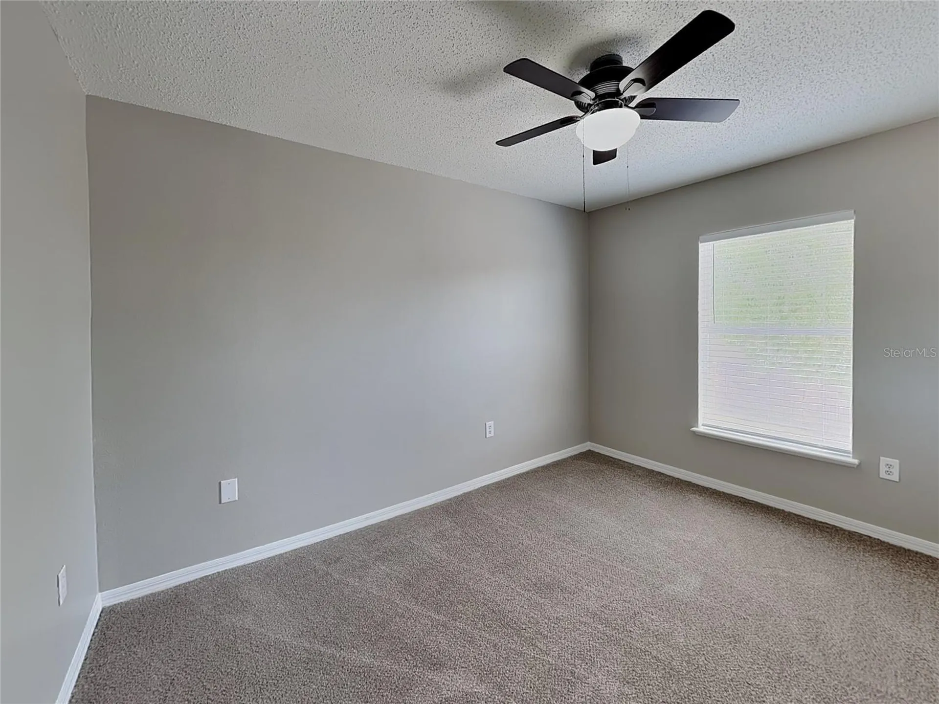 Spring Hill FL 34609