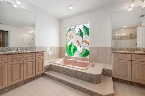 13902 Captains Reef Court Tampa FL 33624