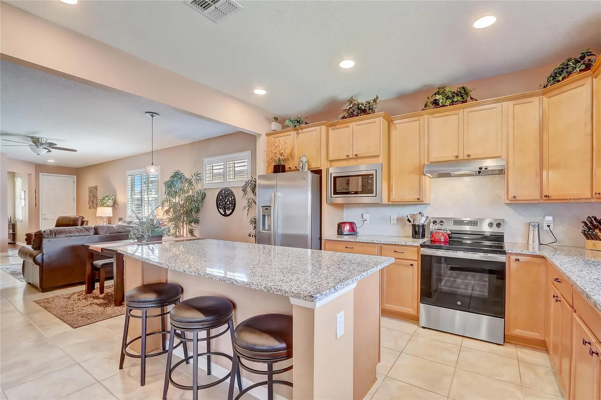 9673 SW 63rd Loop Ocala FL 34481