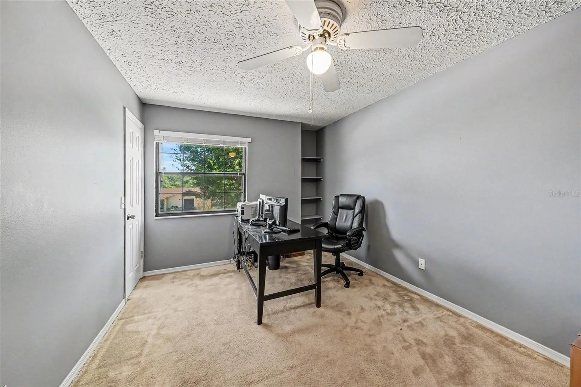 6612 Peachtree Drive Tampa FL 33617