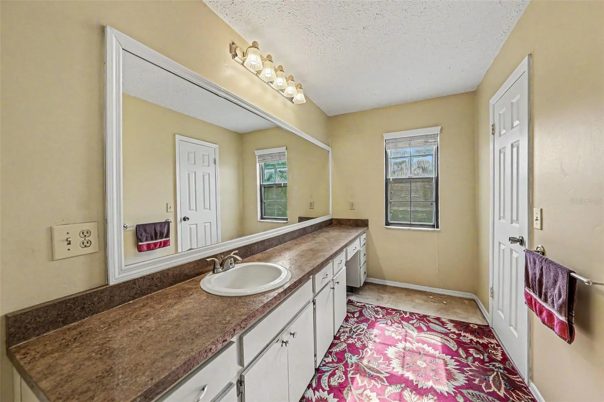 6612 Peachtree Drive Tampa FL 33617