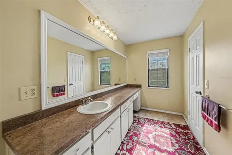 6612 Peachtree Drive Tampa FL 33617