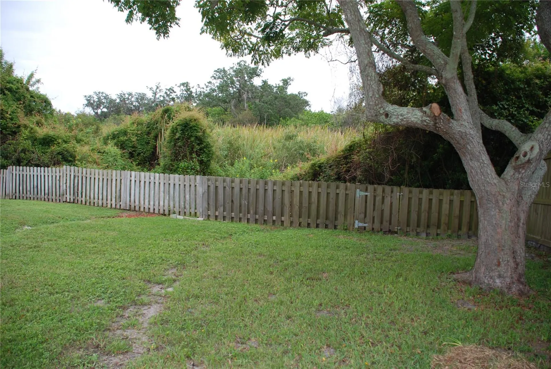 1624 Springdale Drive Holiday FL 34691