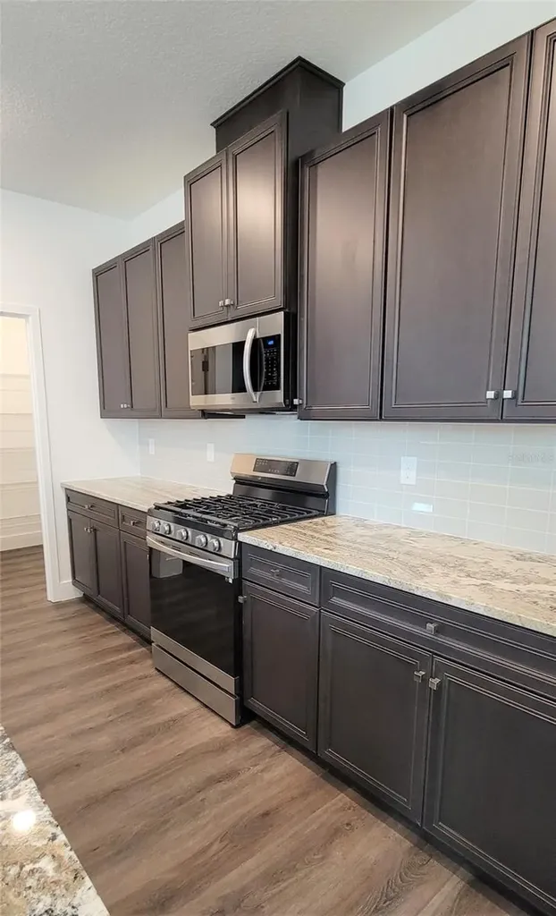 15086 Lebeau Loop Winter Garden FL 34787