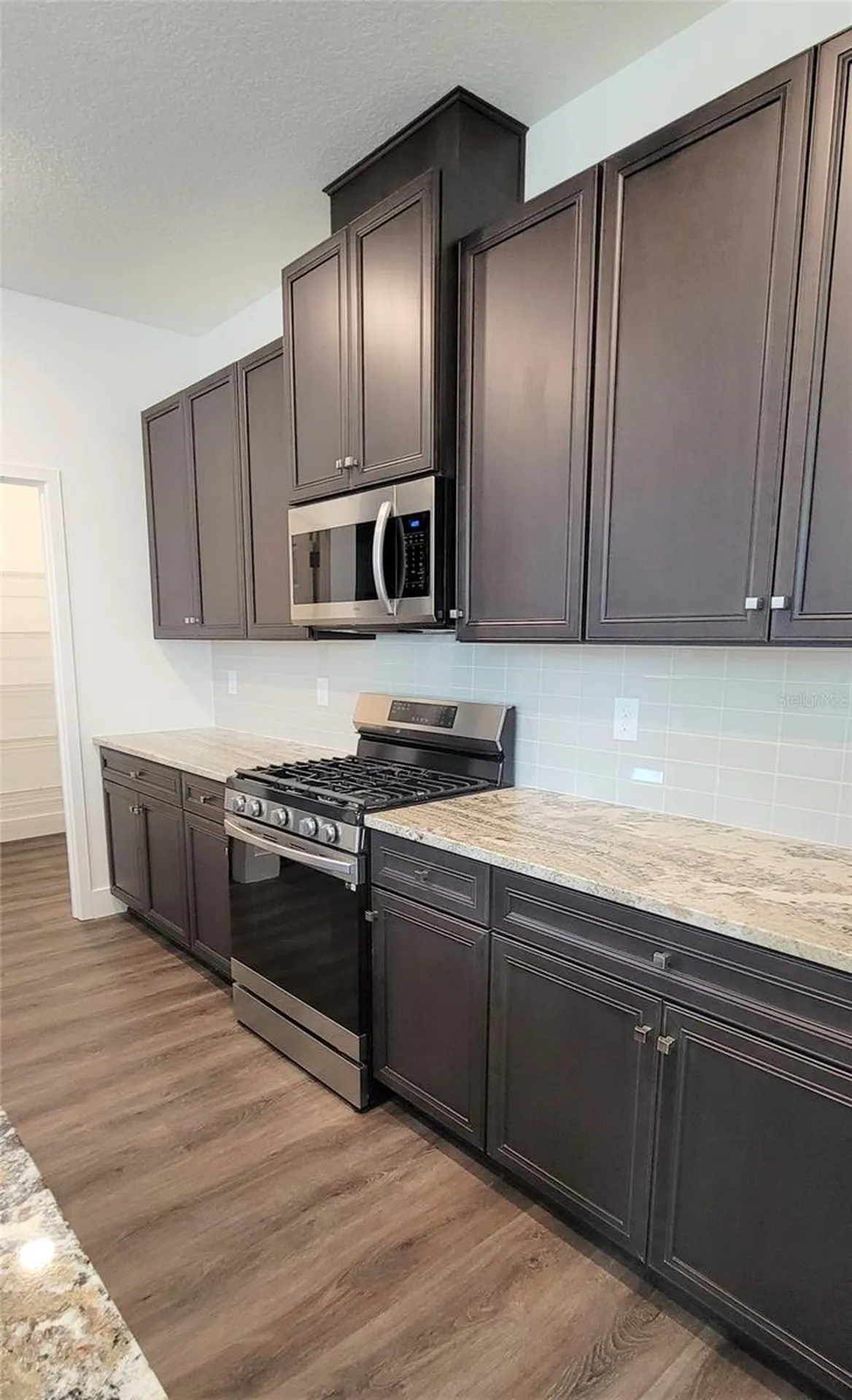 15086 Lebeau Loop Winter Garden FL 34787