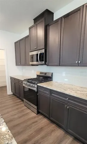 15086 Lebeau Loop Winter Garden FL 34787