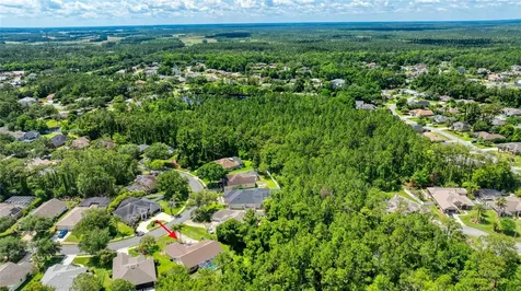 29 Canterbury Woods Ormond Beach FL 32174