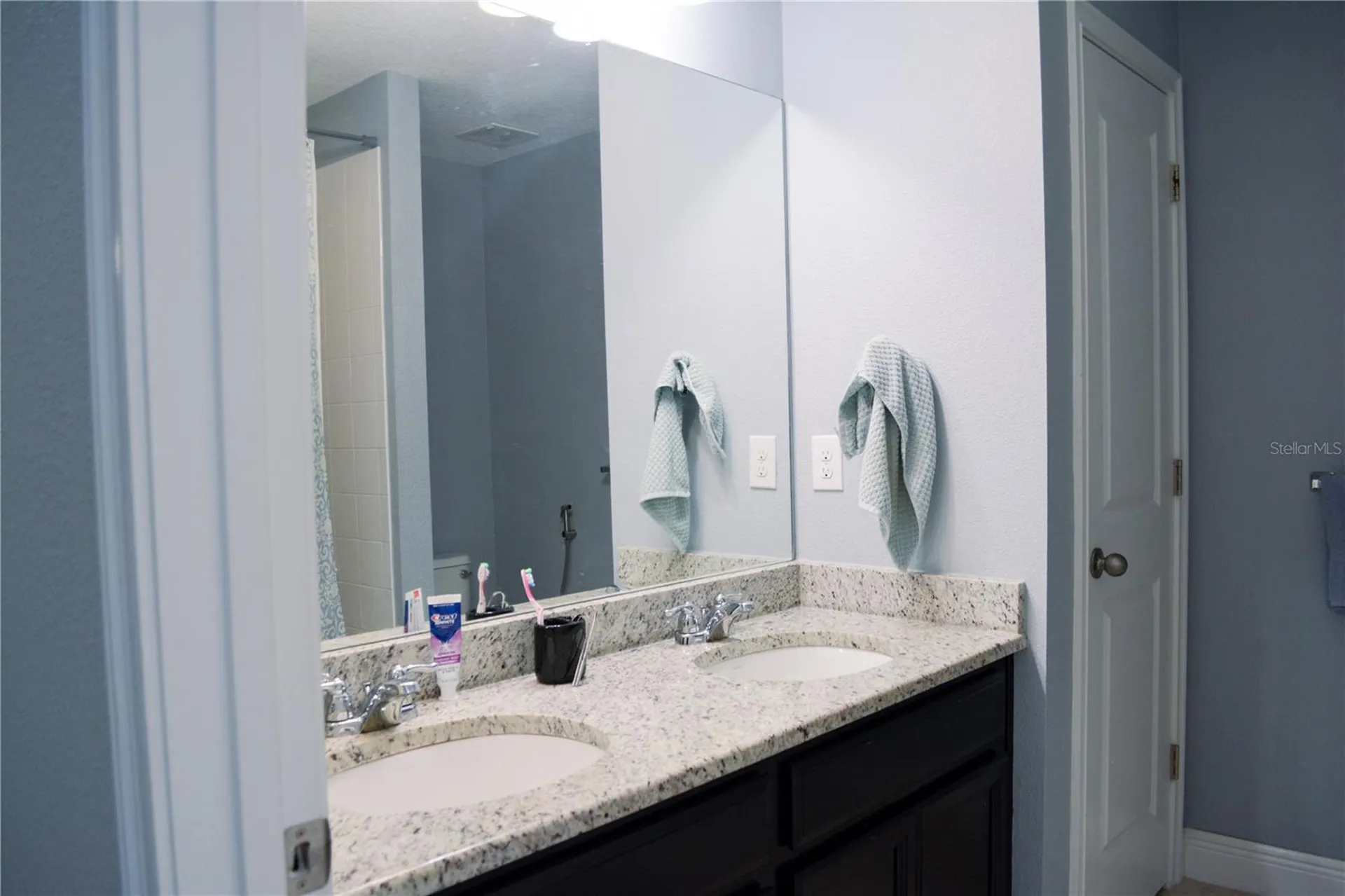 5639 Grand Sonata Avenue Lutz FL 33558
