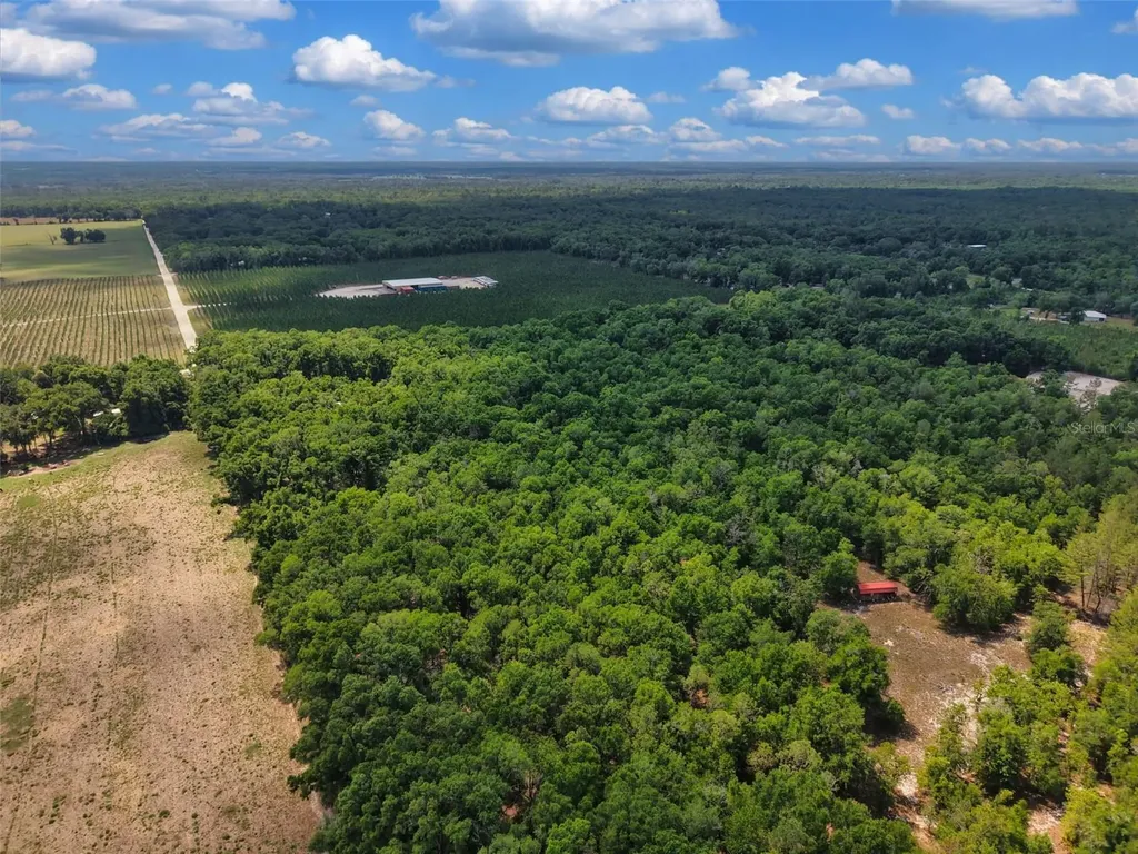 Lot 3 N State Road 129 Branford FL 32008
