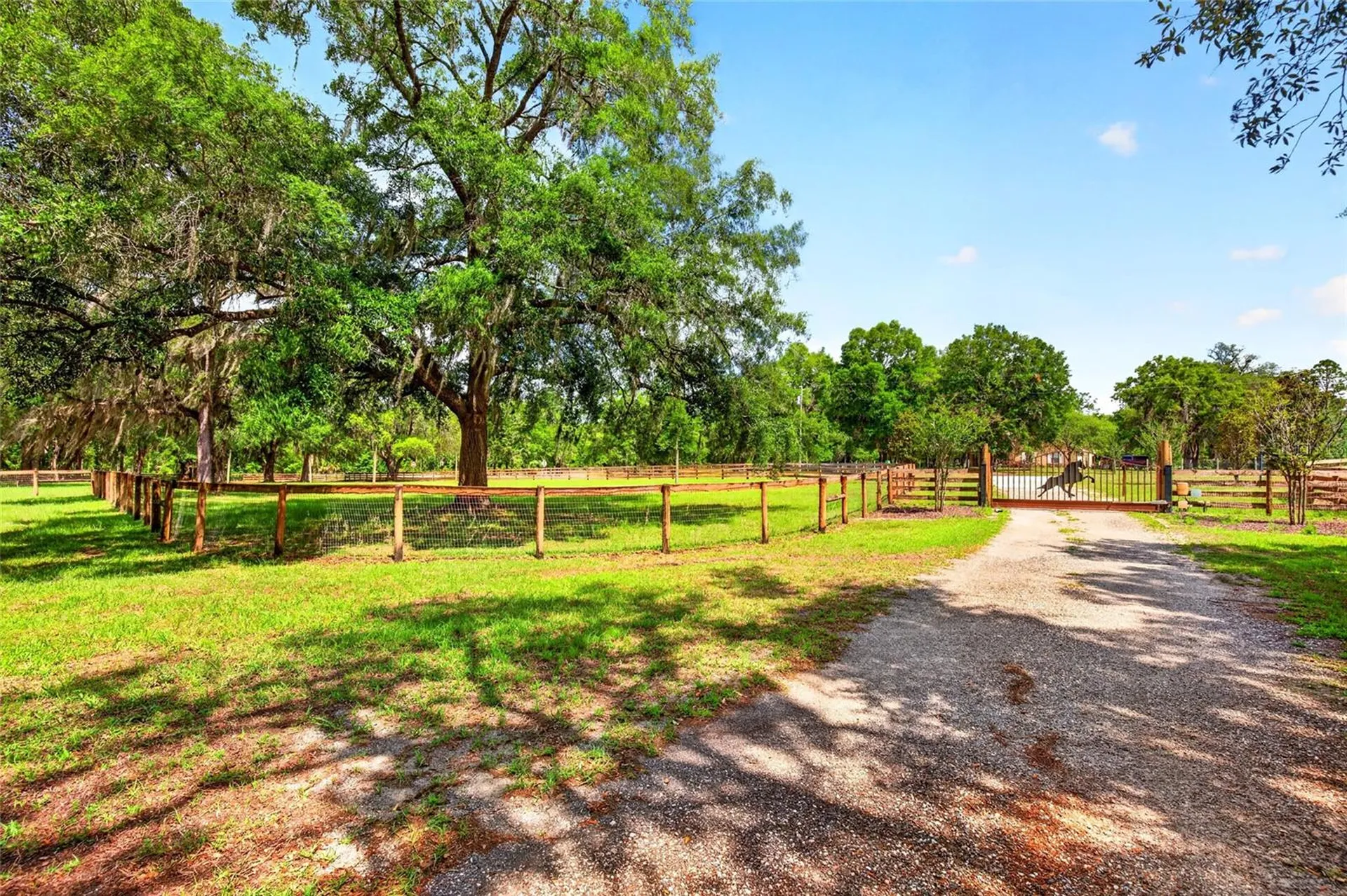 11630 SE 78th Street Morriston FL 32668