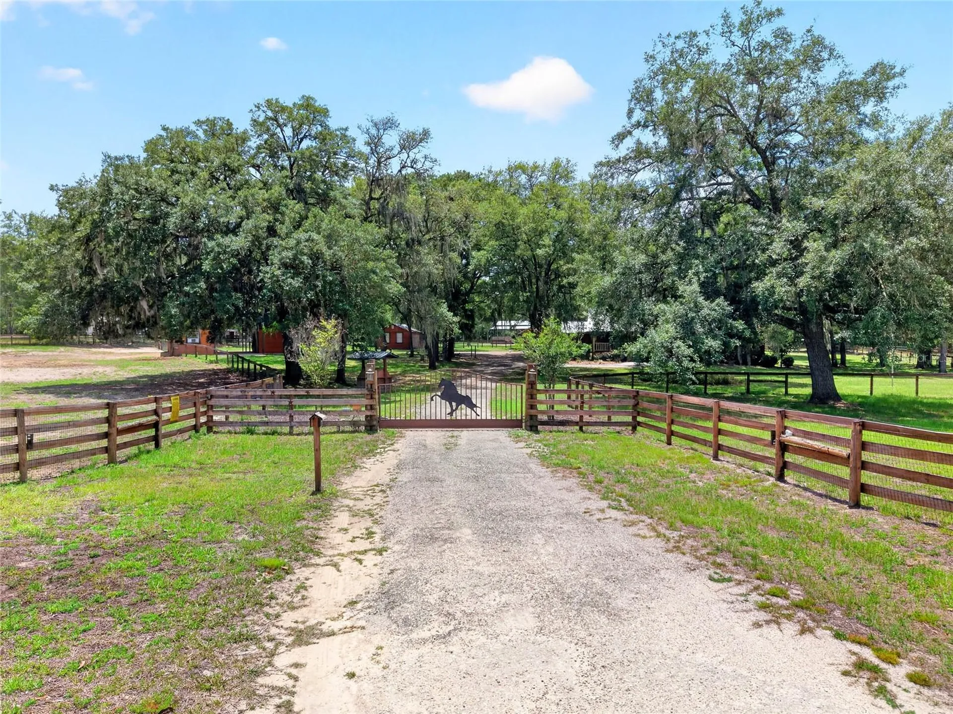 11630 SE 78th Street Morriston FL 32668