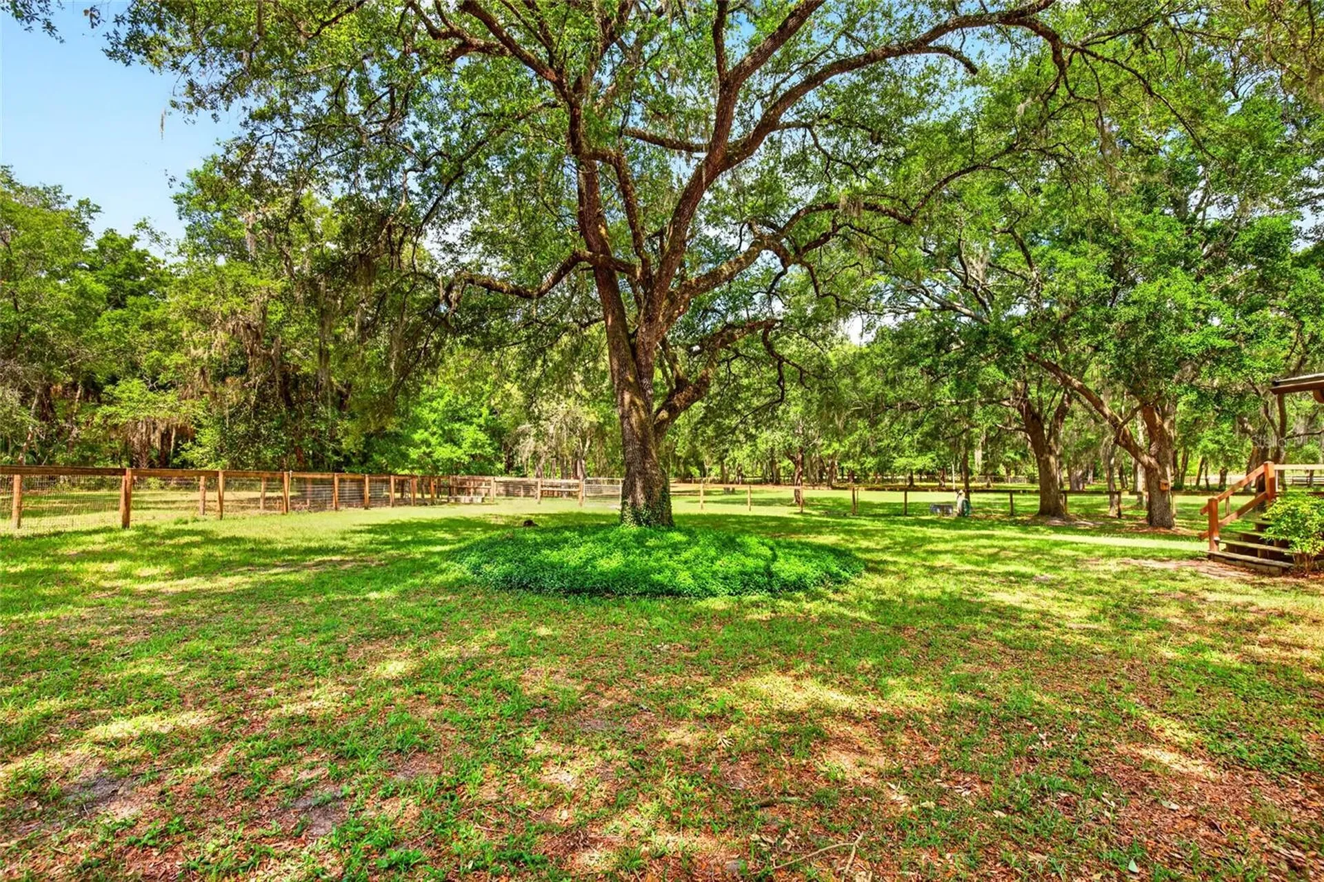 11630 SE 78th Street Morriston FL 32668