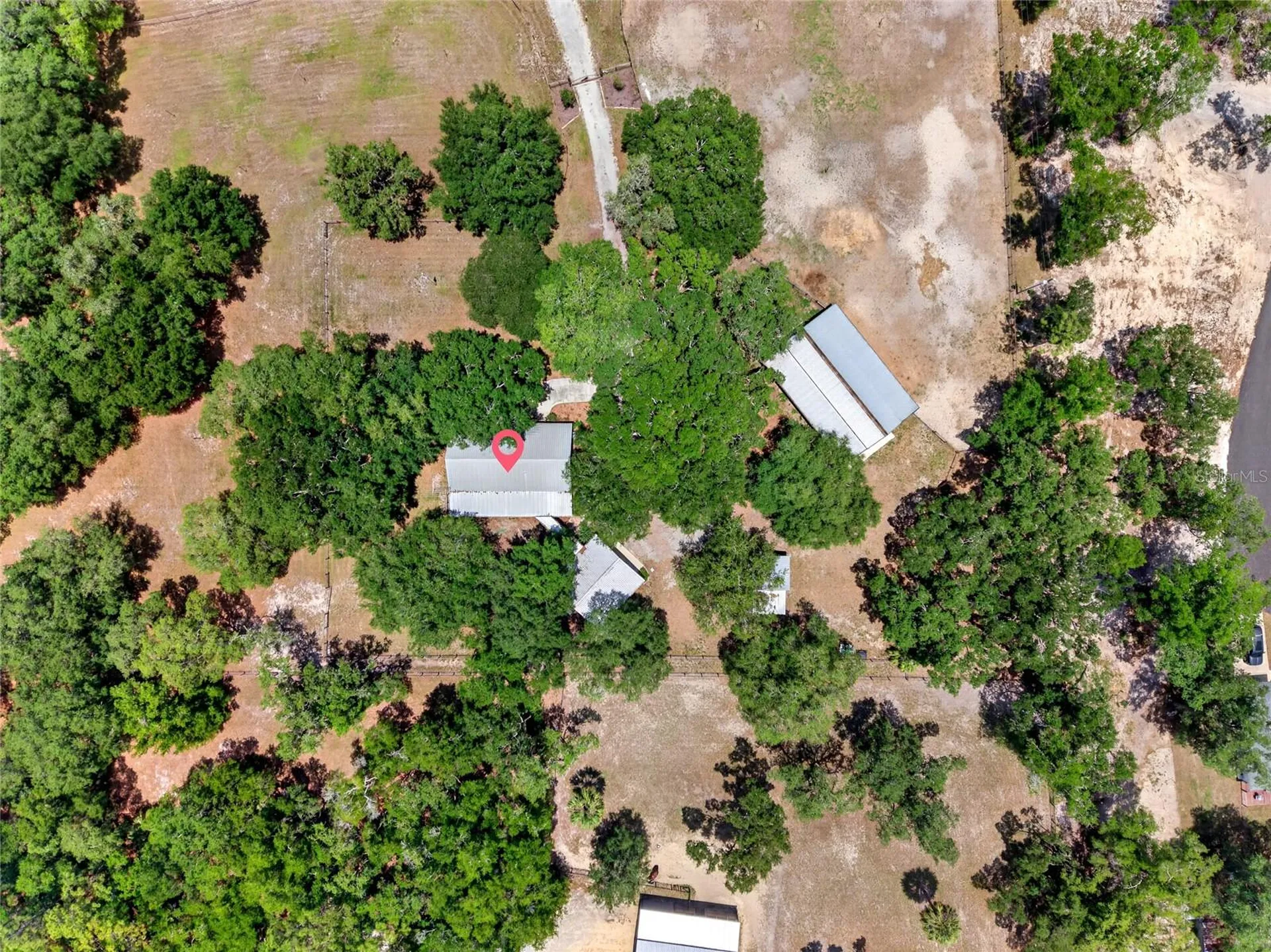 11630 SE 78th Street Morriston FL 32668